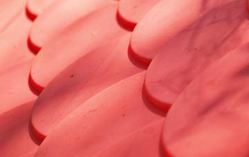 South Leigh plastic roof costs